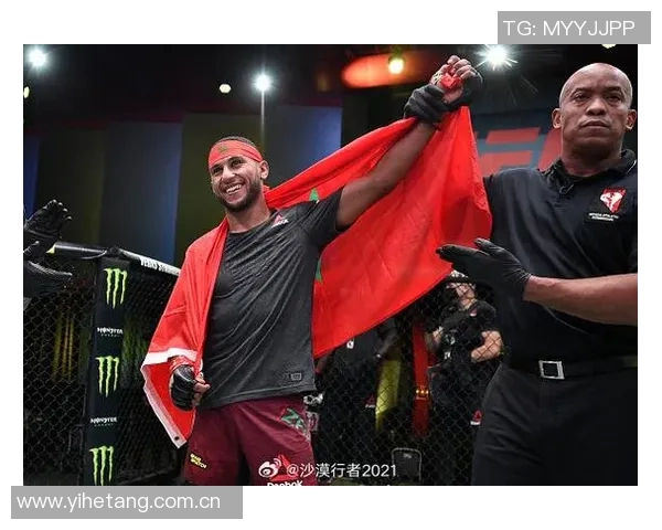 MMA格斗之夜:KO瞬间集锦