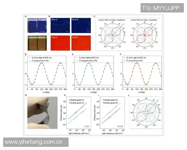 太阳评分揭晓:表现优异还是遭遇瓶颈引发热议